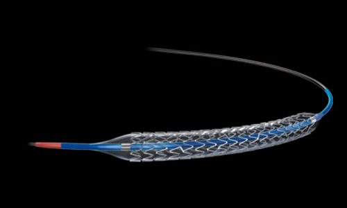 WhatsApp Image 2024-05-09 at 15.35.19 (1)